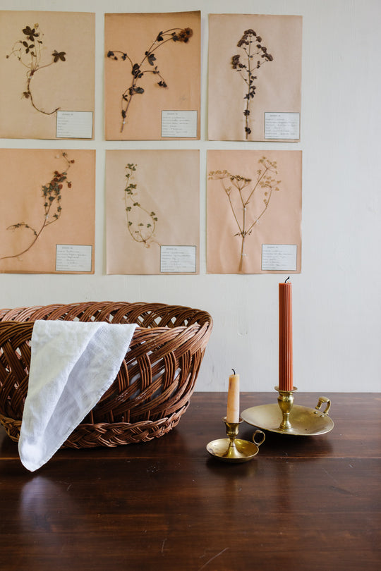 antique french botanical samples: unframed