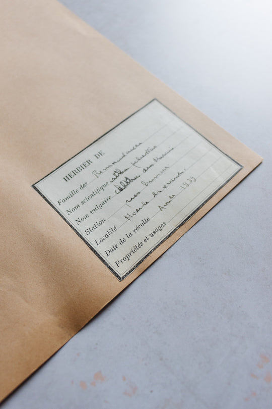 antique french botanical samples: unframed