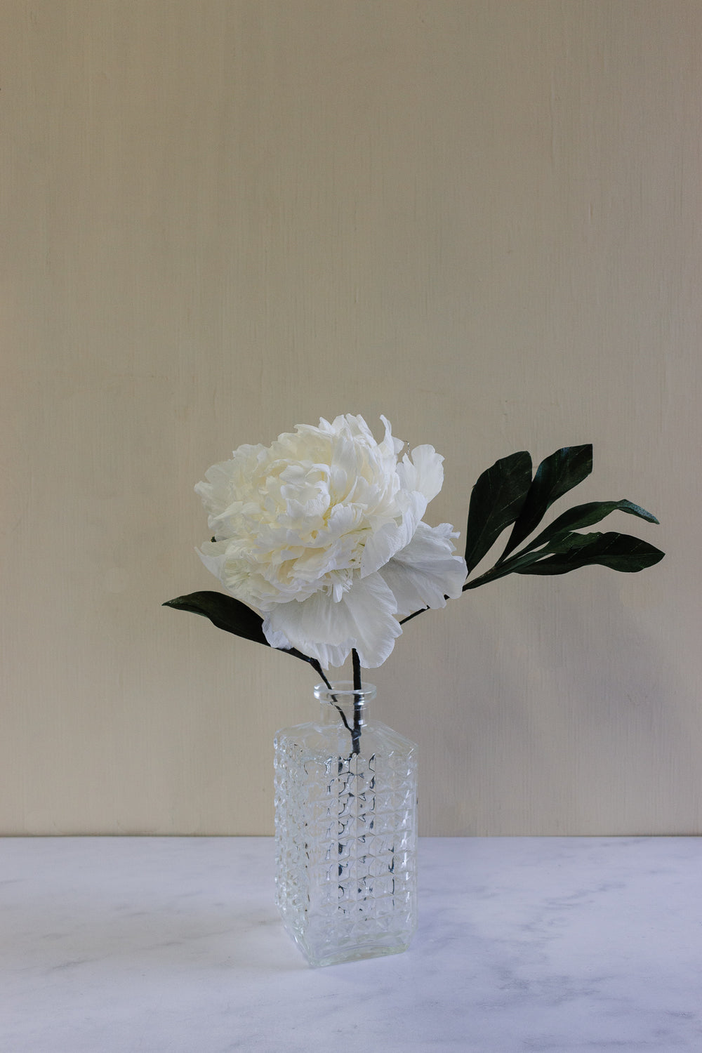 White Bomb Peony x No.1