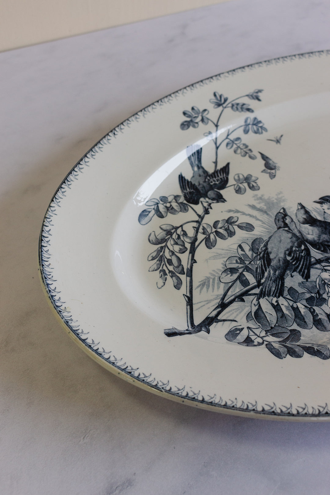 rare antique sarreguemines transferware platter