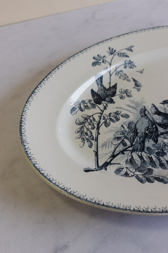 rare antique sarreguemines transferware platter