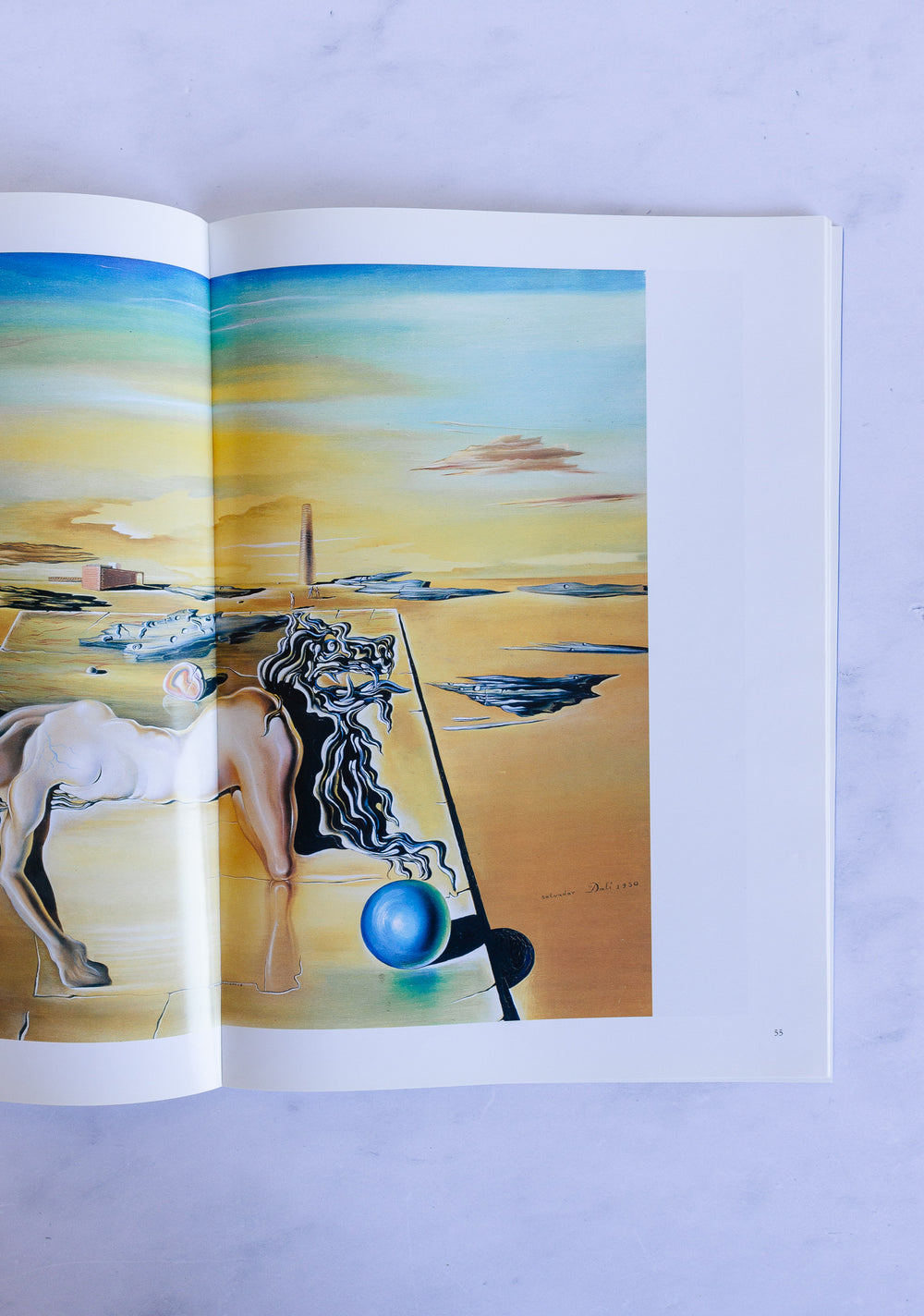 vintage dali art book