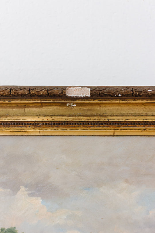 la réflection des arbres