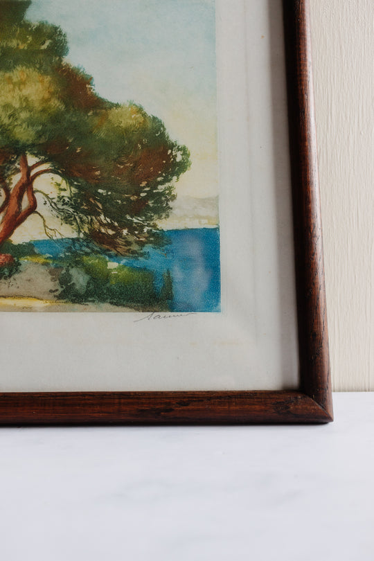 les arbres près de l'océan