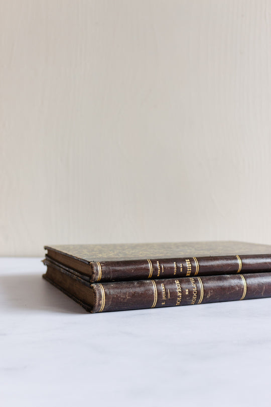 pair of antique French music books