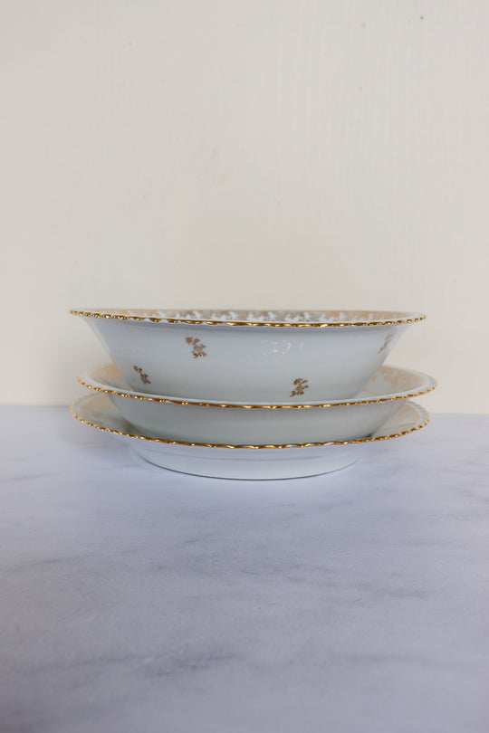 midcentury french limoges bird of paradise service, set of 41