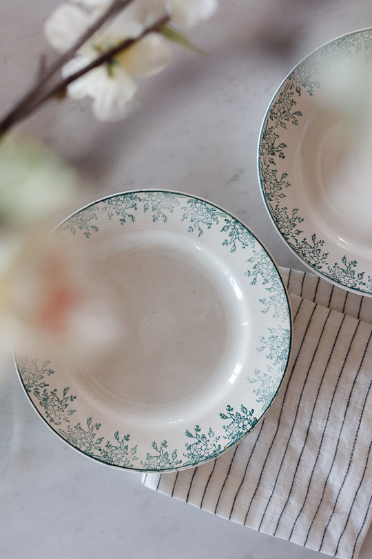 antique french Digoin transferware “creuses” soup plates, set of 7