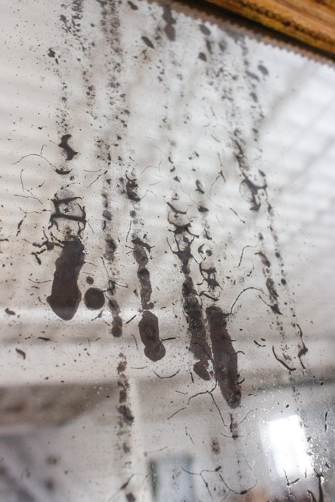 turn of the century gold louis philippe mirror