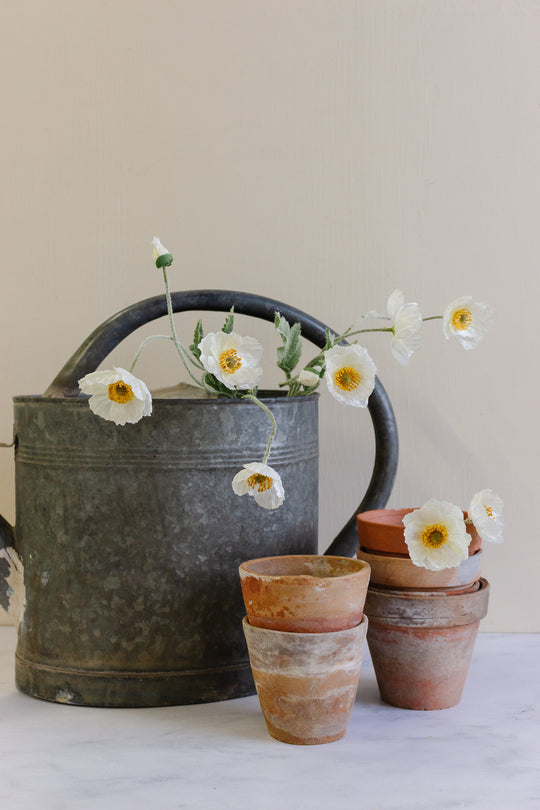 vintage French zinc watering can