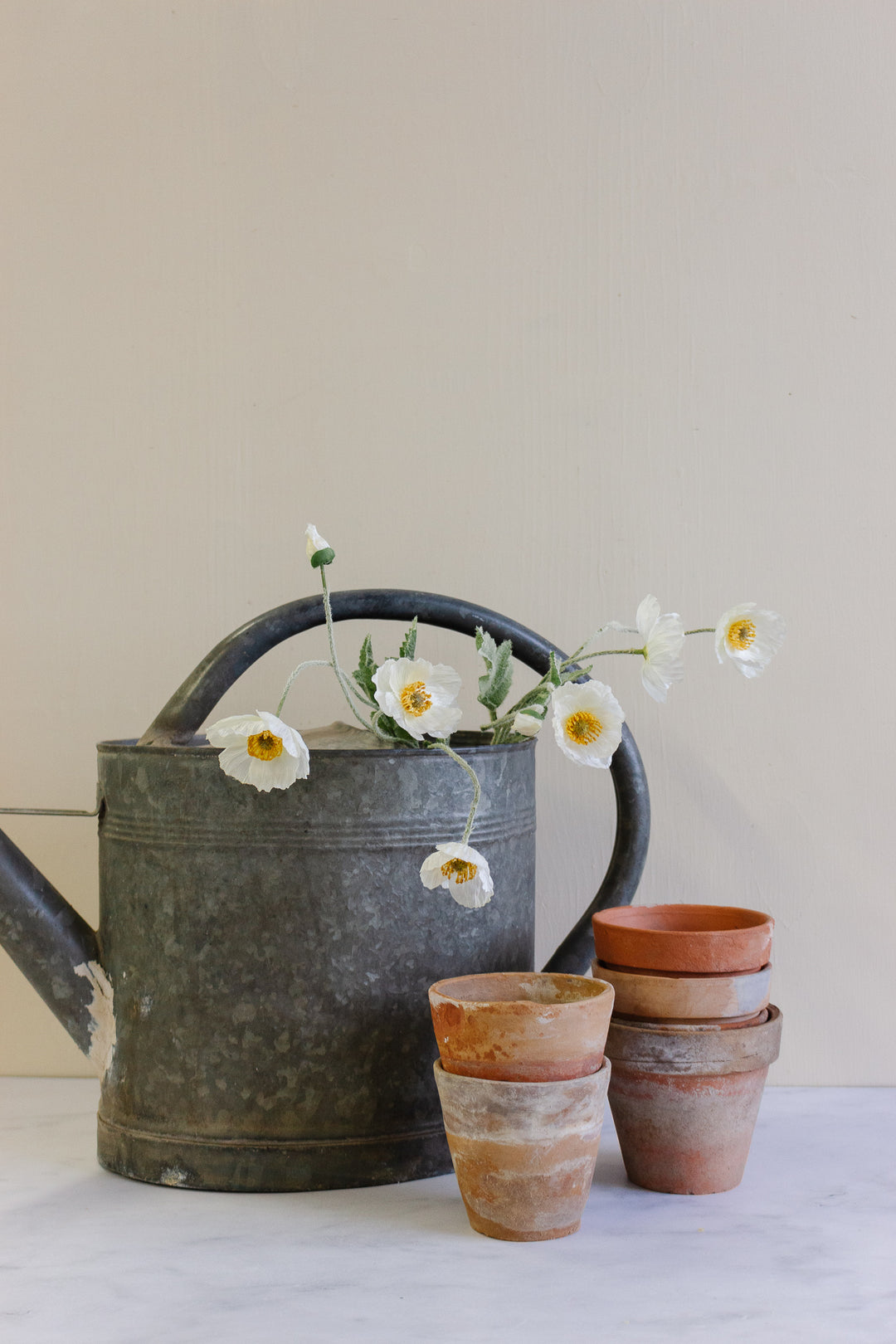 vintage French zinc watering can