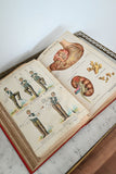 bilz vintage medical book "la médication naturelle"