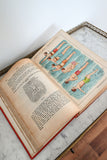 bilz vintage medical book "la médication naturelle"