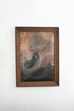 the stag