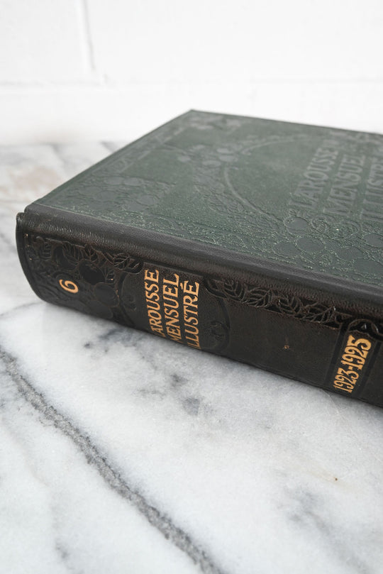antique french leather bound "larousse mensuel illustre 1923-1925"
