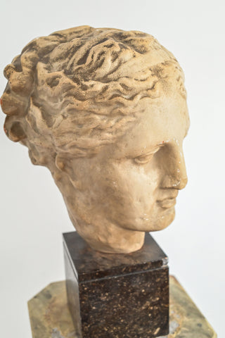 antique french stone bust