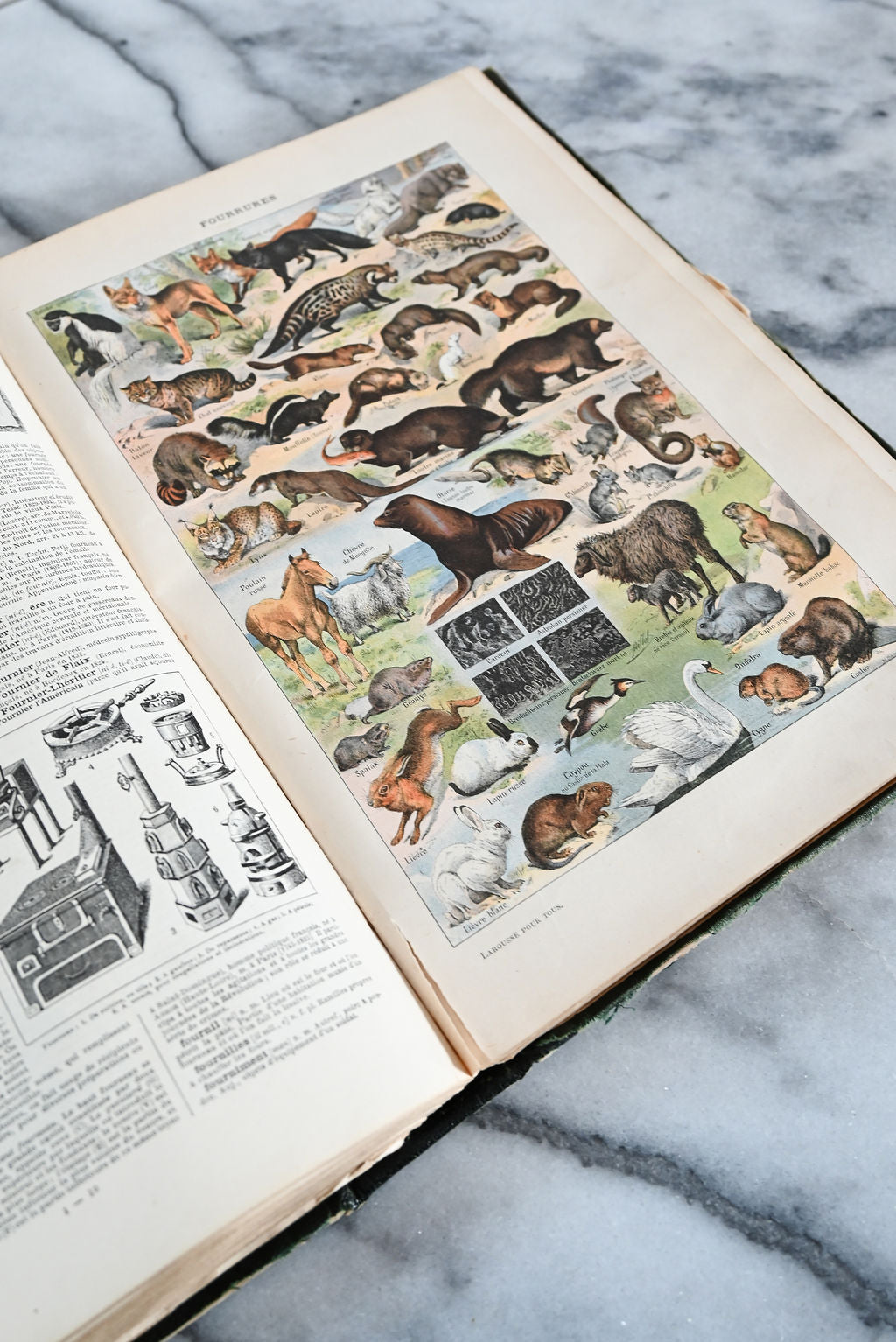 antique french leather bound "larousse mensuel illustre 1923-1925"