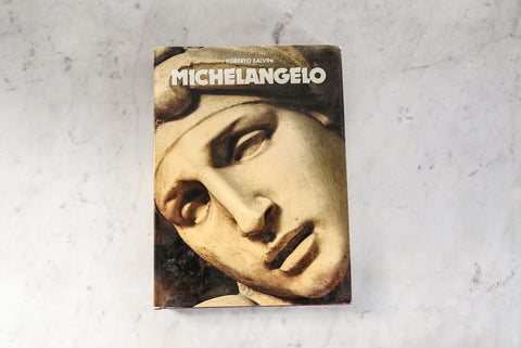 vintage hard cover art book "michelangelo"
