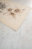 antique french flower study, 1894