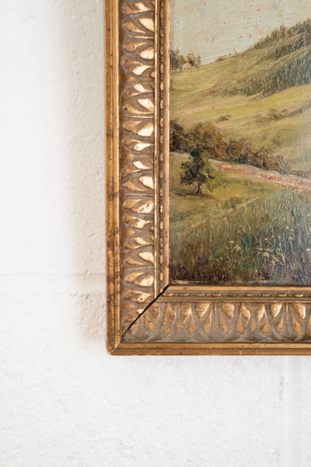 musée Fréjus collection: collines ensoleillées