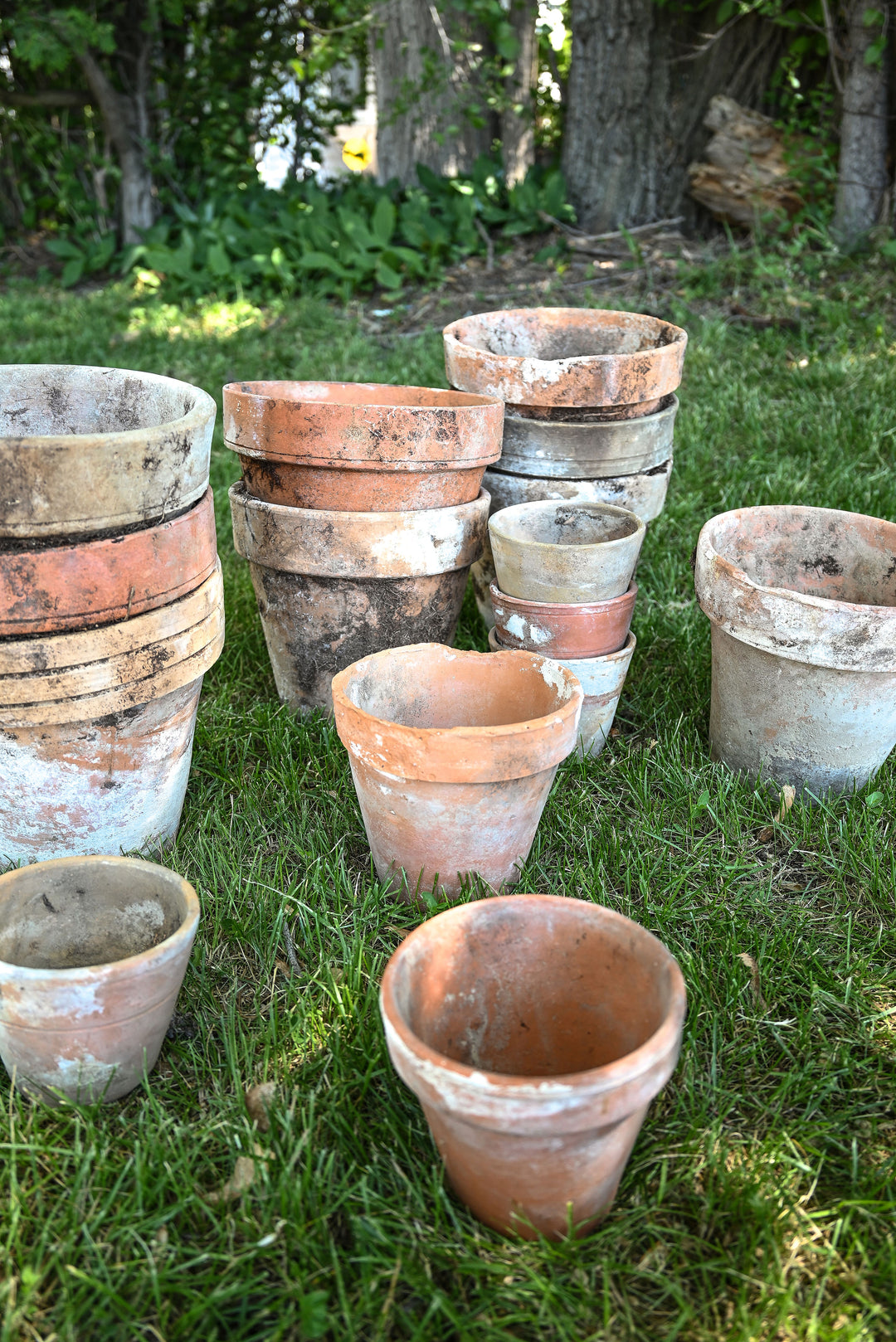 vintage French terra cotta flower pots