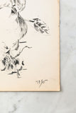 dessins de fleurs 1916, lot de 3