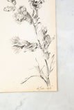 dessins de fleurs 1916, lot de 3