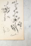dessins de fleurs 1916, lot de 3