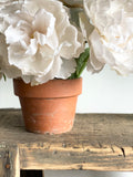 vintage terra cotta flower pot