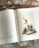 vintage reference book, “the original watercolour paintings by John James Audubon for the birds of america”