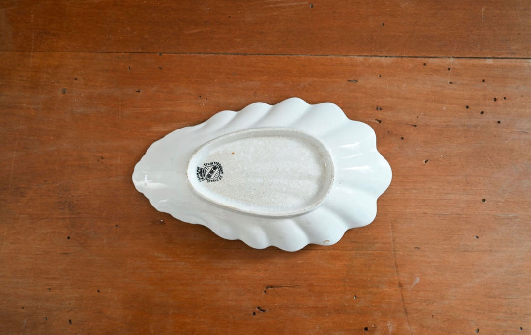 antique sarreguemine ceramic seashell “ravier”