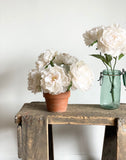 vintage terra cotta flower pot