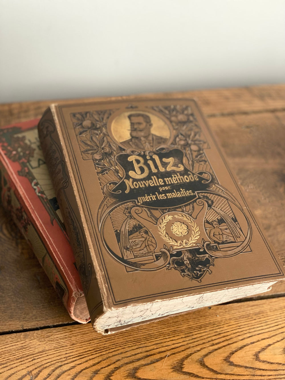 bilz vintage medical book “Nouvelle méthode pour guérir les maladies”