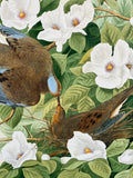 audubon “birds of america” white-crowned pigeon stamped print