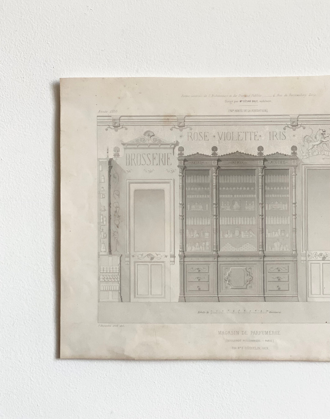 antique French architectural engraving, “magasin de parfumerie”