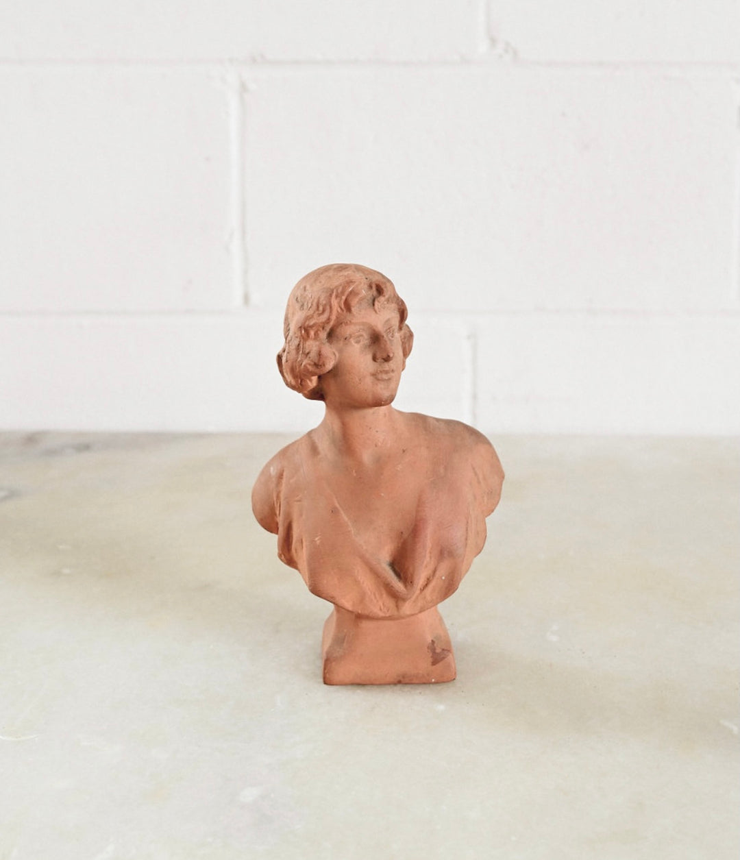 vintage French terra cotta bust