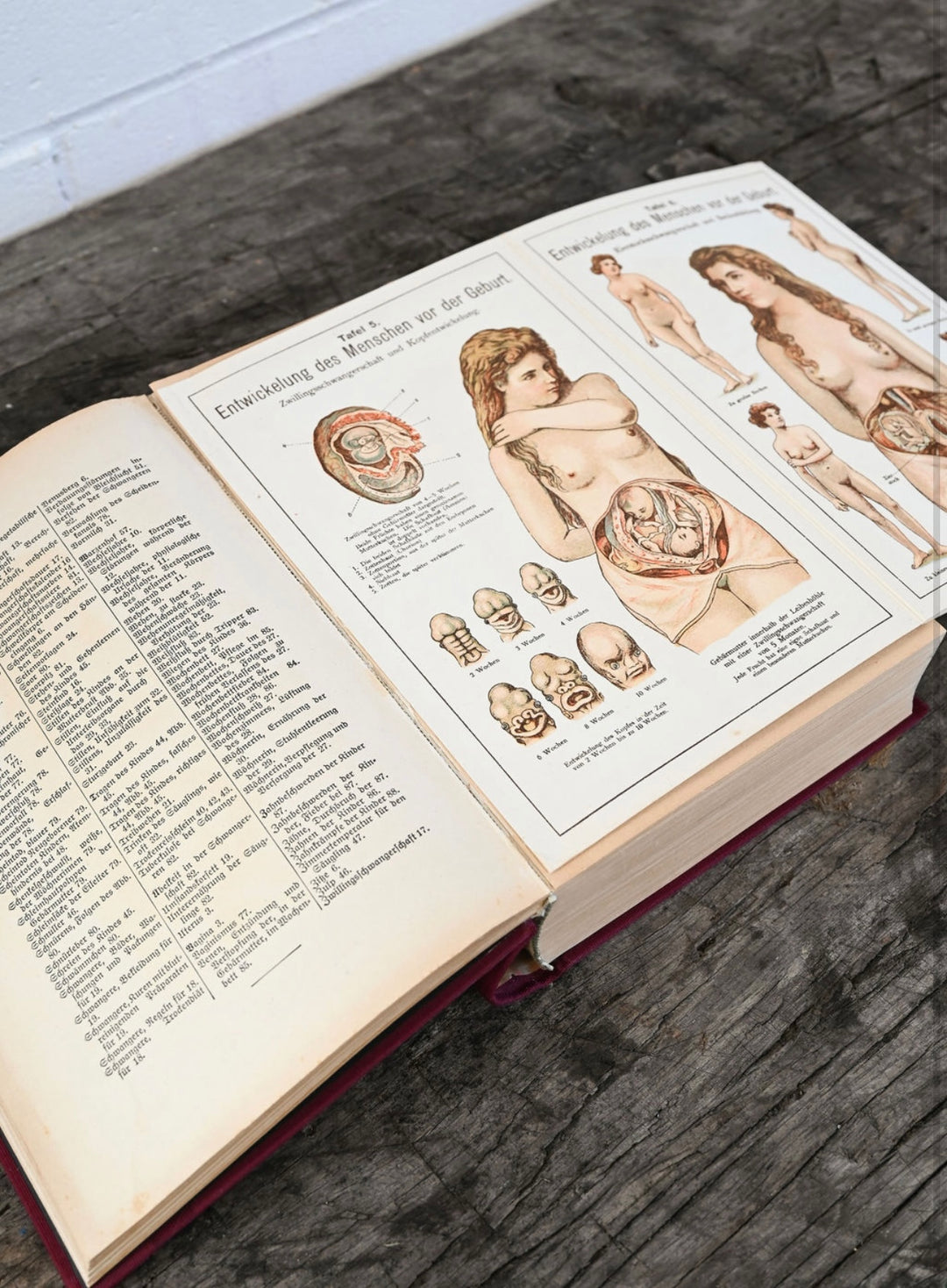 vintage German Bilz medical books