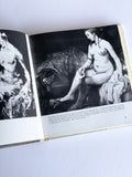 vintage art book, “Secrets of the great masters”