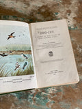 antique reference book, “bird life”